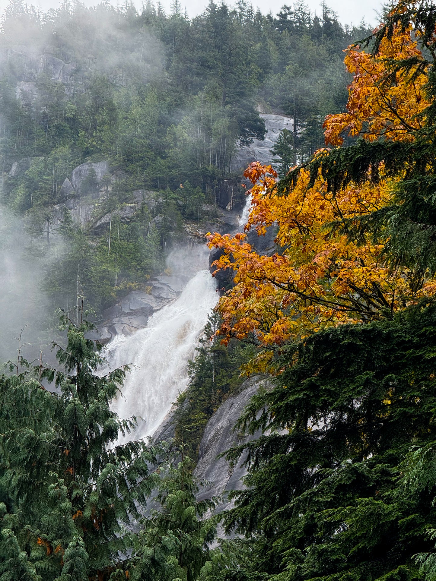 Autumn Cascade in the Mist - Fine Art Print by Leslie Brashear Photography captures a waterfall tumbling down a forested Vancouver mountain, surrounded by evergreens and orange autumn leaves, with mist drifting through the crisp air.