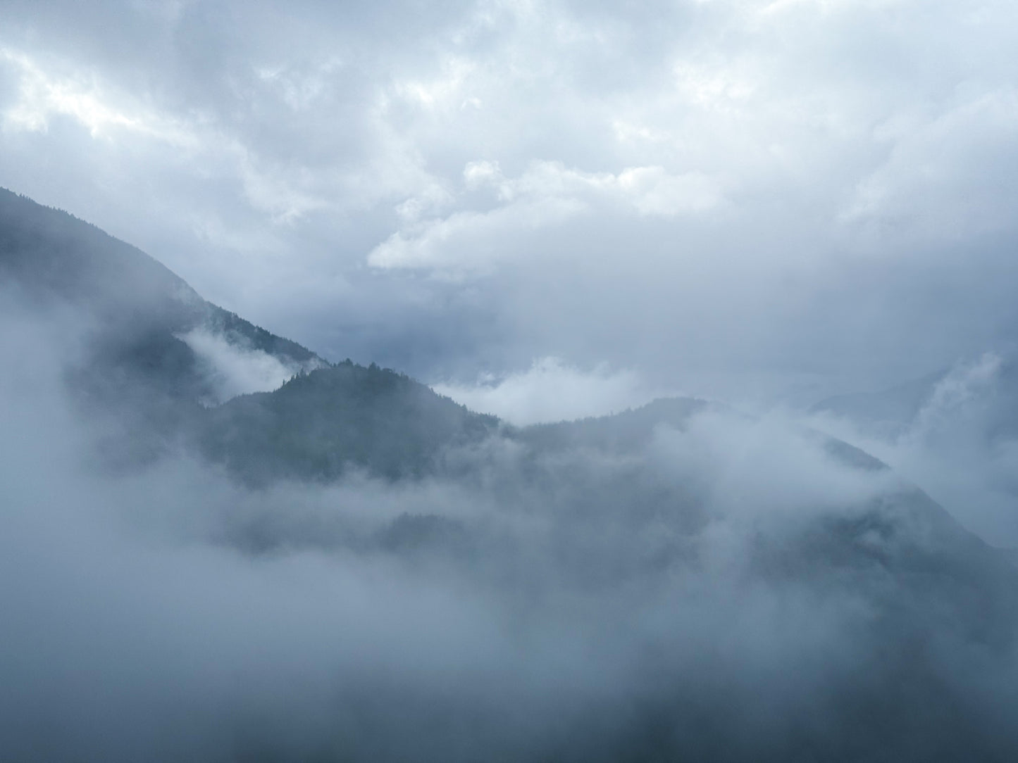 Experience the dramatic beauty of British Columbia with "Misty Mountain View" – a fine art print by Leslie Brashear Photography featuring fog-shrouded, tree-covered peaks beneath an overcast sky.
