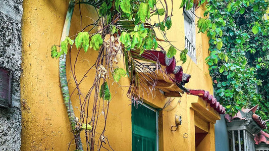 A vibrant yellow building wall in Cartagena, Colombia with red tile accents, green doors, and lush greenery overhead and around sets the stage for exploring Getsemani, creating a lively and inviting facade in Cartagena.