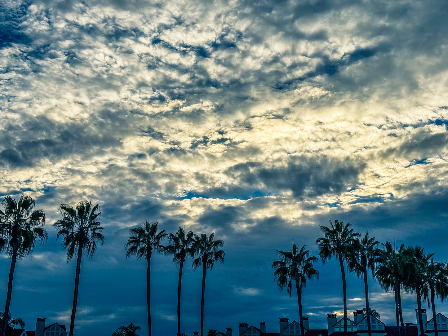 Silhouettes Under a Dramatic Sky - Fine Art Print by Leslie Brashear Photography captures tall palm trees before city buildings beneath a striking Southern California sky, sunlight streaming through clouds in classic photographic style.