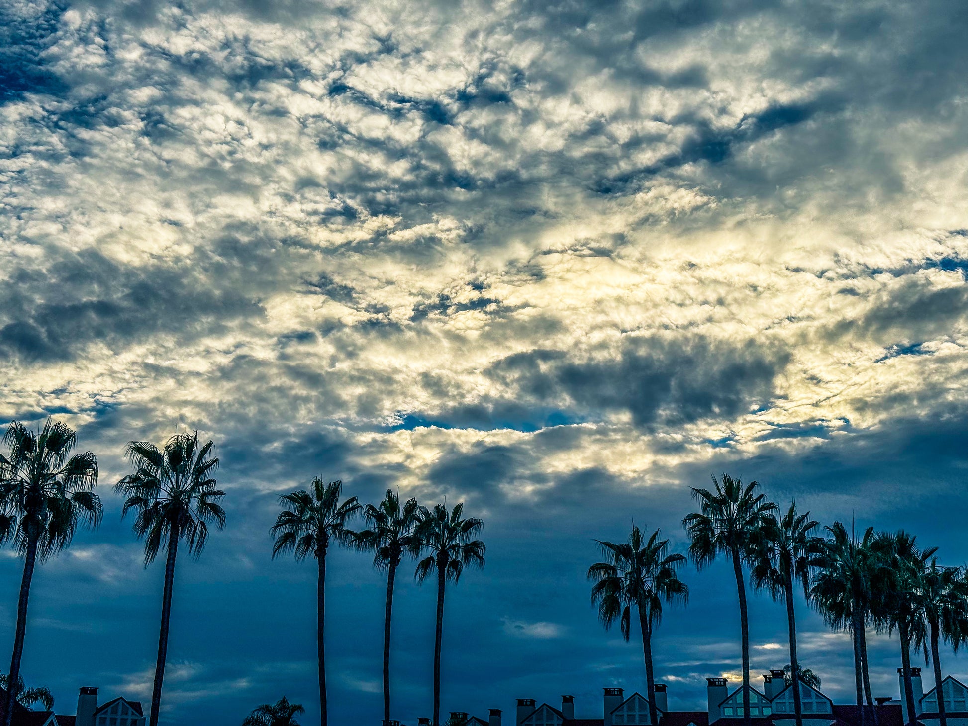Silhouettes Under a Dramatic Sky - Fine Art Print by Leslie Brashear Photography captures tall palm trees before city buildings beneath a striking Southern California sky, sunlight streaming through clouds in classic photographic style.