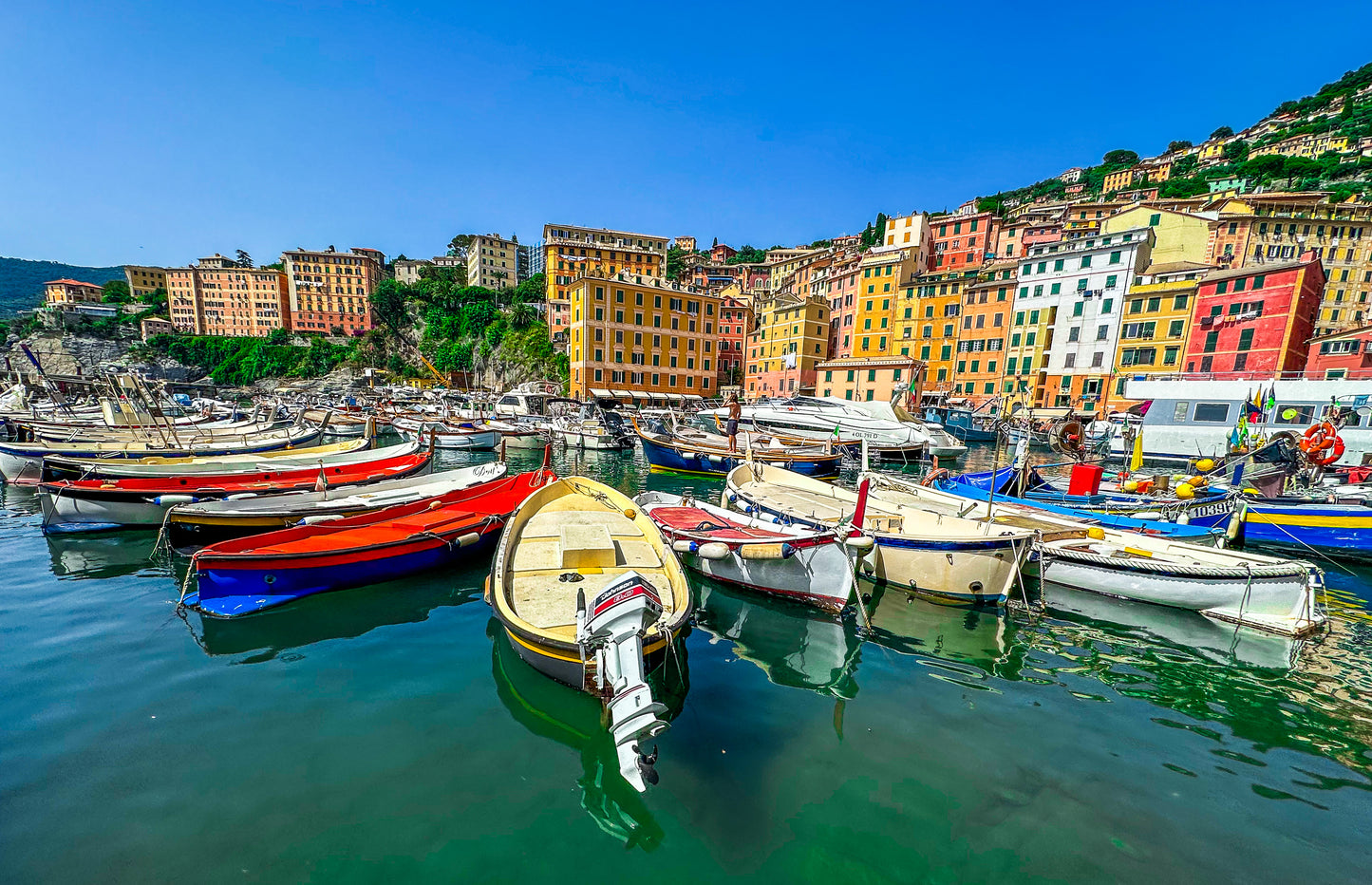 Camogli Harbor- Fine Art Print by Leslie Brashear Photography captures colorful boats docked on the Ligurian coast, set against multicolored buildings and green hills under a clear blue sky.