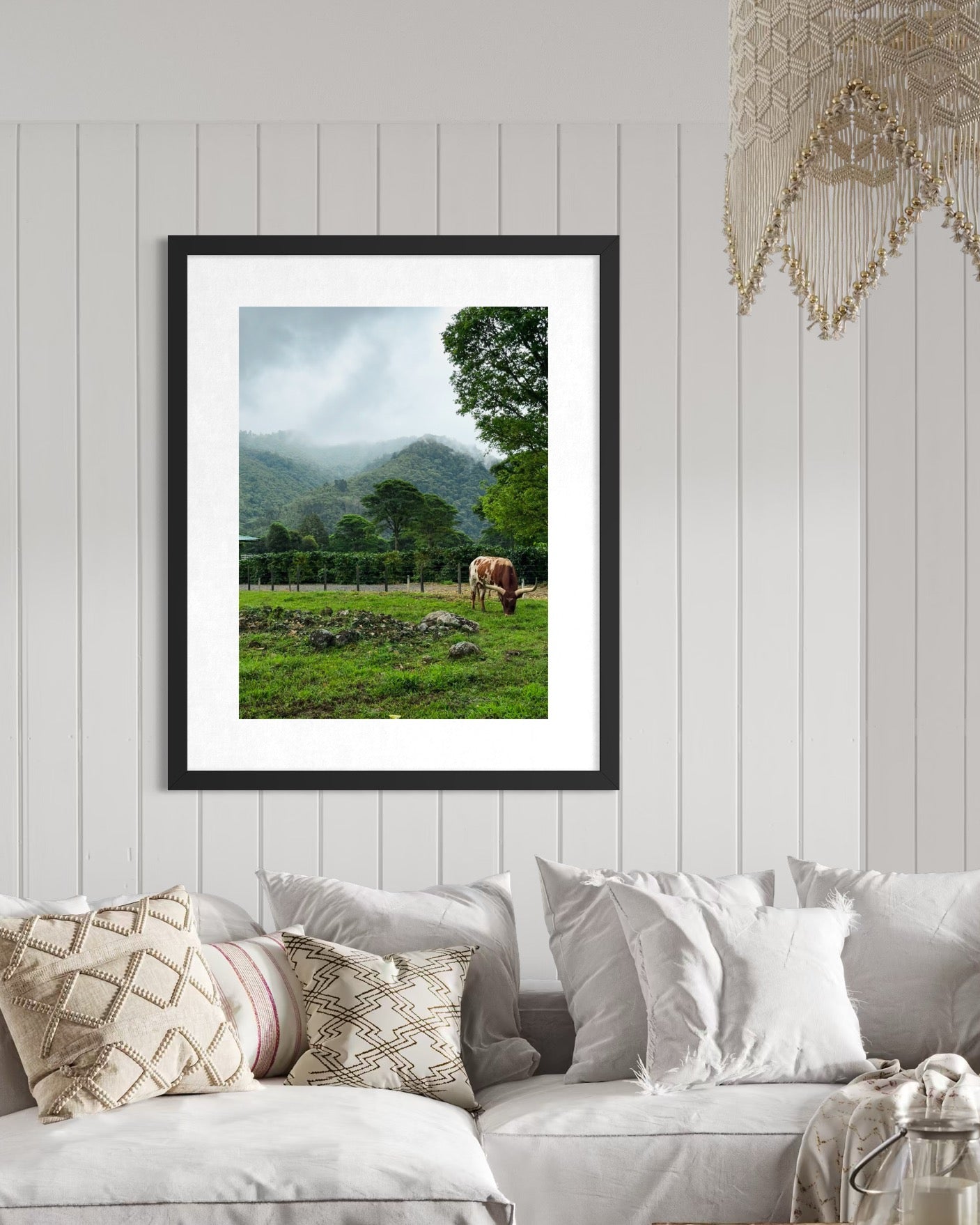 Watusi in Costa Rica- Fine Art Print by Leslie Brashear Photography hangs on a white shiplap wall above a white couch with patterned pillows, showcasing an African Watusi cow in a green field with mountains in the background.