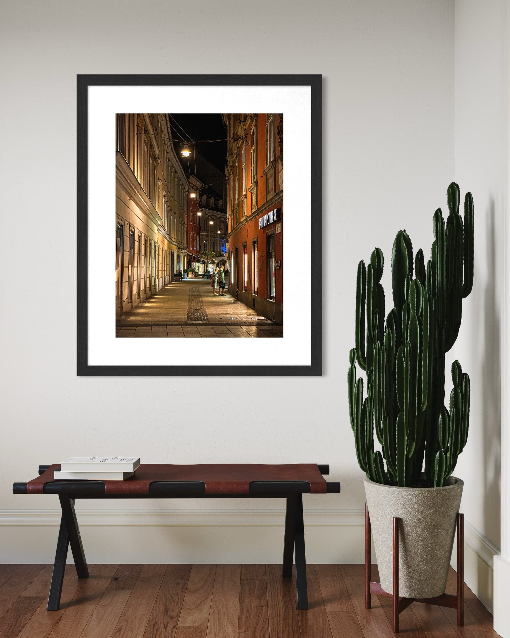 Window Shopping - Fine Art Print by Leslie Brashear Photography features a nighttime scene of Graz, Austria’s cobblestone alley and stunning architecture, framed on a white wall above a bench with a tall potted cactus beside it.