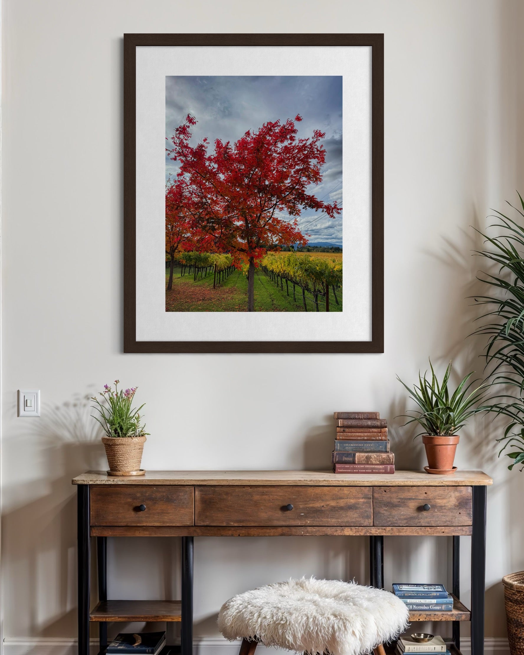 A framed "Napa Valley Autumn Colors - Fine Art Print" by Leslie Brashear Photography hangs on a beige wall above a wooden console table decorated with potted plants, books, and a furry stool.