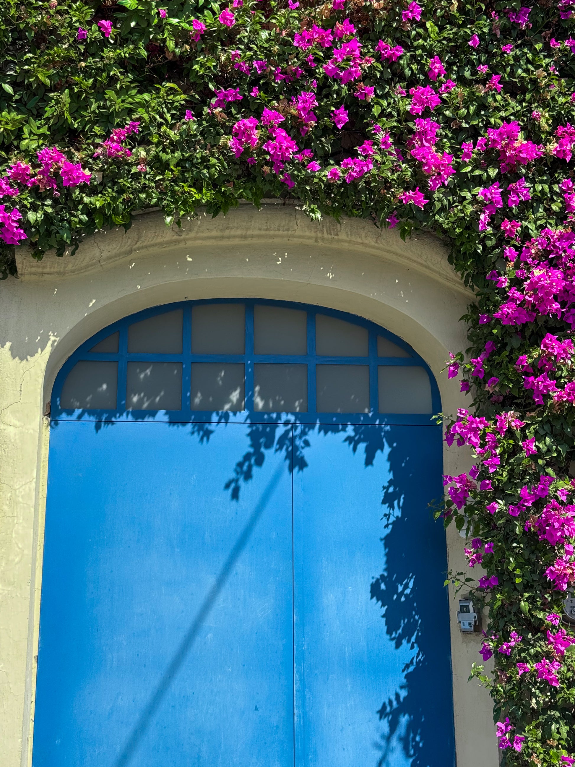 The "Charming Blue Door Framed By Bougainvillea" fine art print by Leslie Brashear Photography features a vibrant blue door in Colonia Americana, set in a cream wall and surrounded by vivid pink bougainvillea vines.