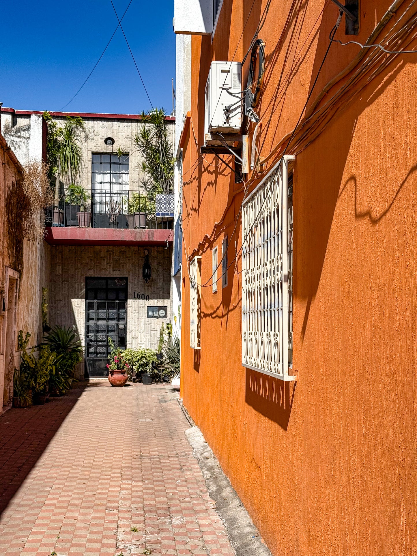 Sunlit Urban Alleyway - Fine Art Print by Leslie Brashear Photography captures a lively alley with a brick path, orange wall, potted plants, and black door—showcasing Colonia Americana's distinctive Guadalajara architecture under blue skies.