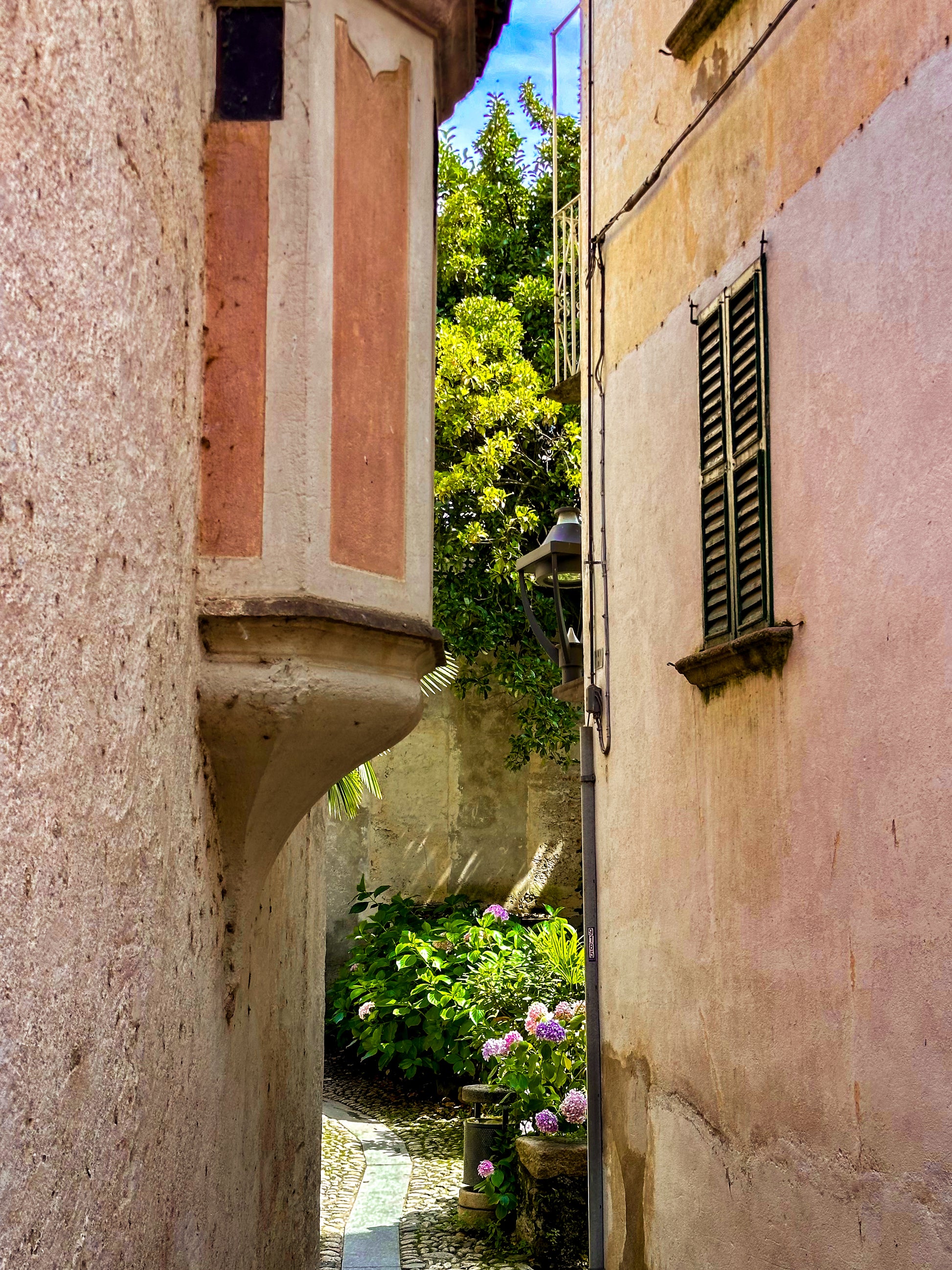 Hidden Passage on Lago di Maggiore - Fine Art Print by Leslie Brashear Photography captures a sunlit alley with a garden and pink hydrangeas, evoking the charm of Italian lakeside towns—ideal for Lombardy travel photography lovers.