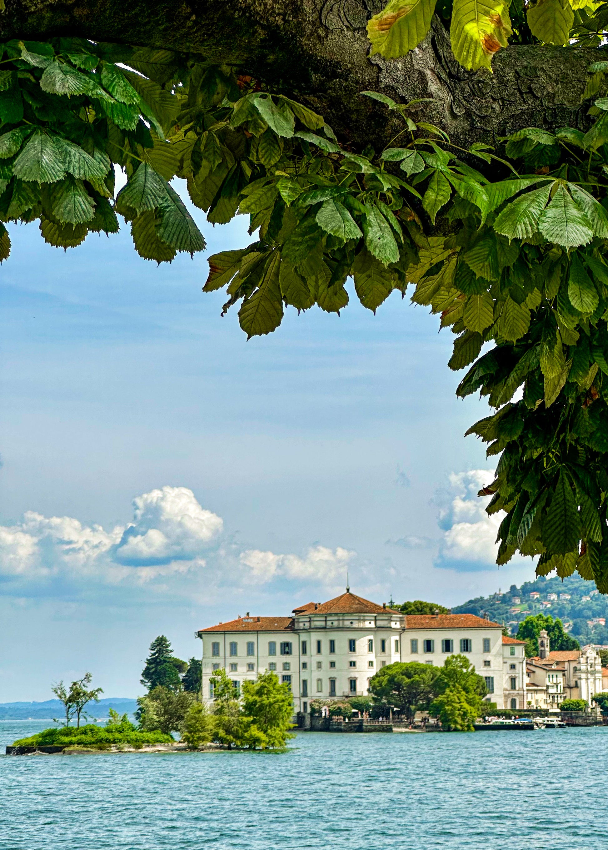 Large tree branches frame a historic white building on Lago di Maggiore’s shore, hills and sky beyond—Lago di Maggiore Vista Fine Art Print by Leslie Brashear Photography captures Lombardy’s picturesque beauty.