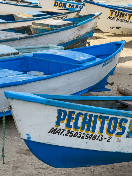 Fishing Boats on the Shores of Mazatlan" by Leslie Brashear Photography captures blue and white fishing boats with weathered names, docked along a sandy Mazatlán shore.