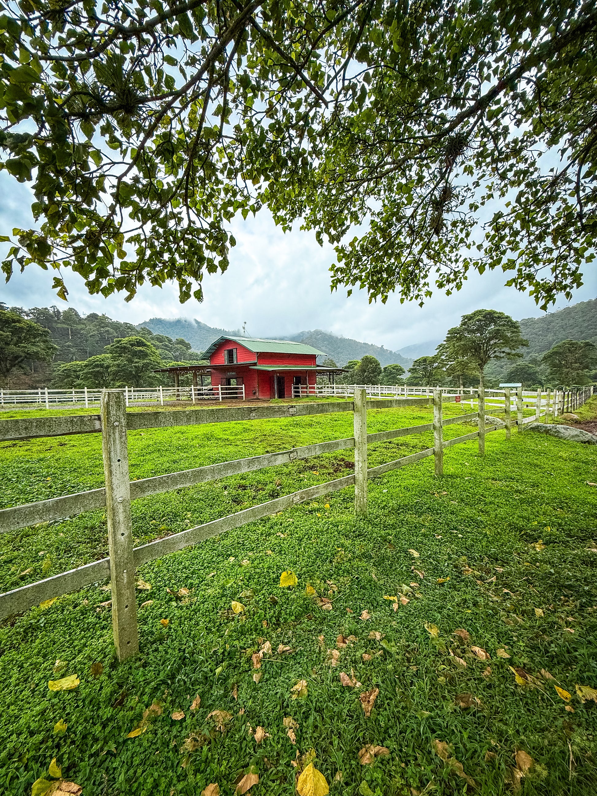 The "Red Barn - Fine Art Print" by Leslie Brashear Photography features a red barn in a green pasture with trees and hills under a cloudy sky—ideal wall art for lovers of rural landscapes.