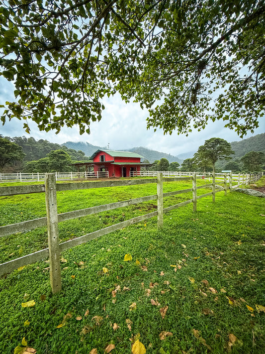The "Red Barn - Fine Art Print" by Leslie Brashear Photography features a red barn in a green pasture with trees and hills under a cloudy sky—ideal wall art for lovers of rural landscapes.