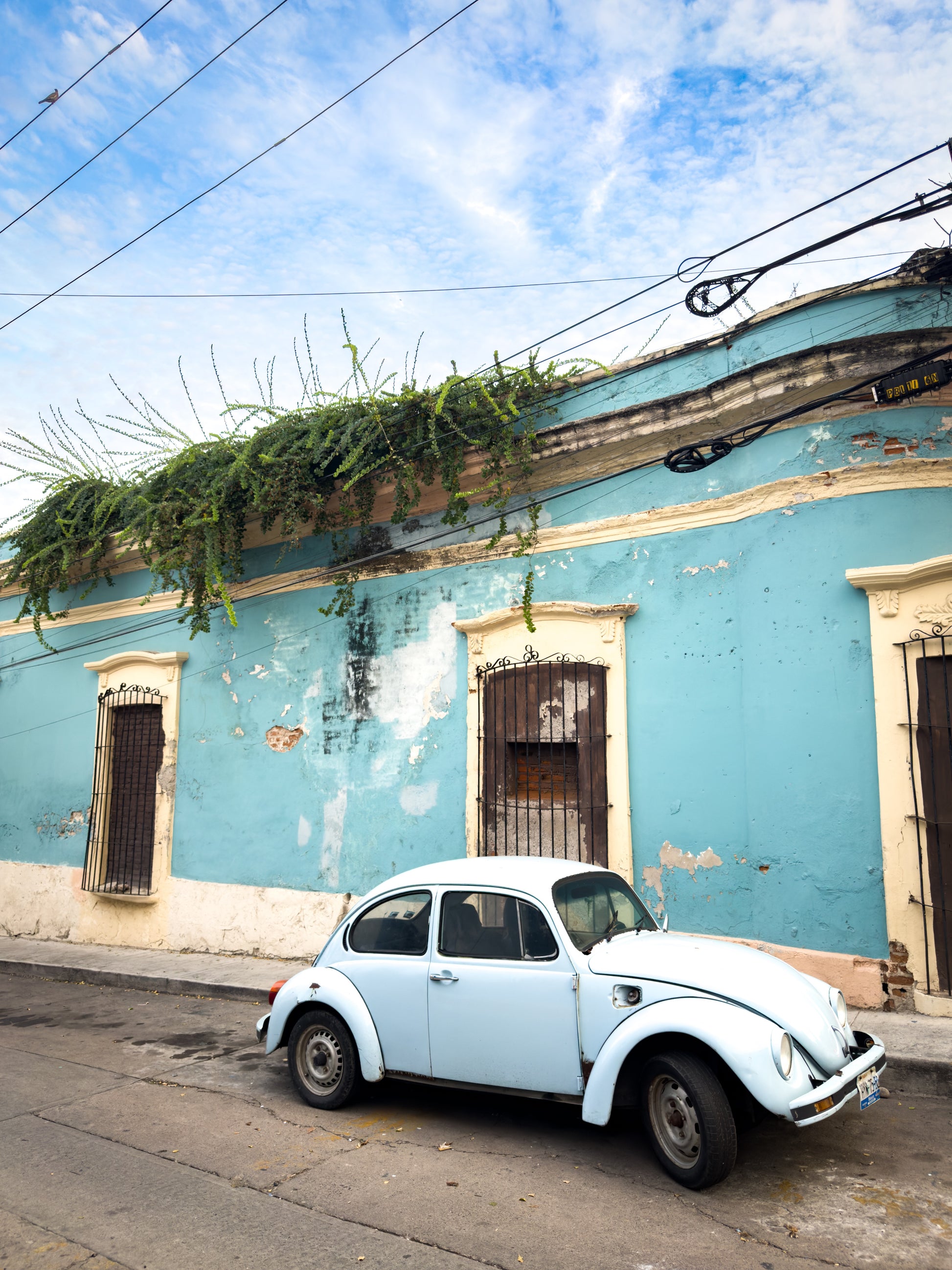 Vintage VW Beetle Parked on a Side Street" by Leslie Brashear Photography captures a classic car beside a weathered blue historic building in Mazatlán Centro, its peeling paint and barred windows completing the nostalgic scene.