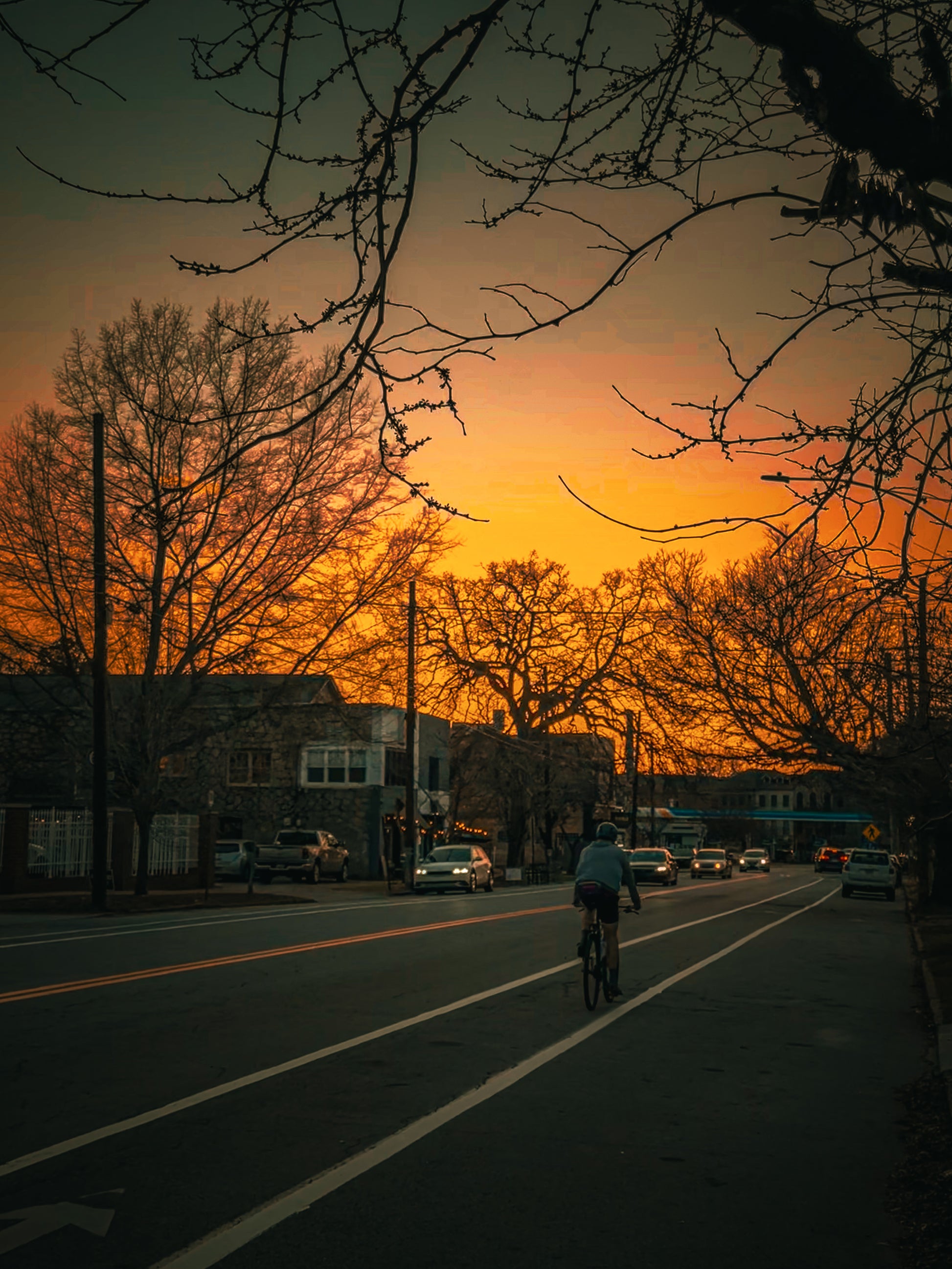 Cycling at Sunset by Leslie Brashear Photography captures the peaceful beauty of an evening ride past bare trees and parked cars, showcasing tranquil Atlanta sunset moments.