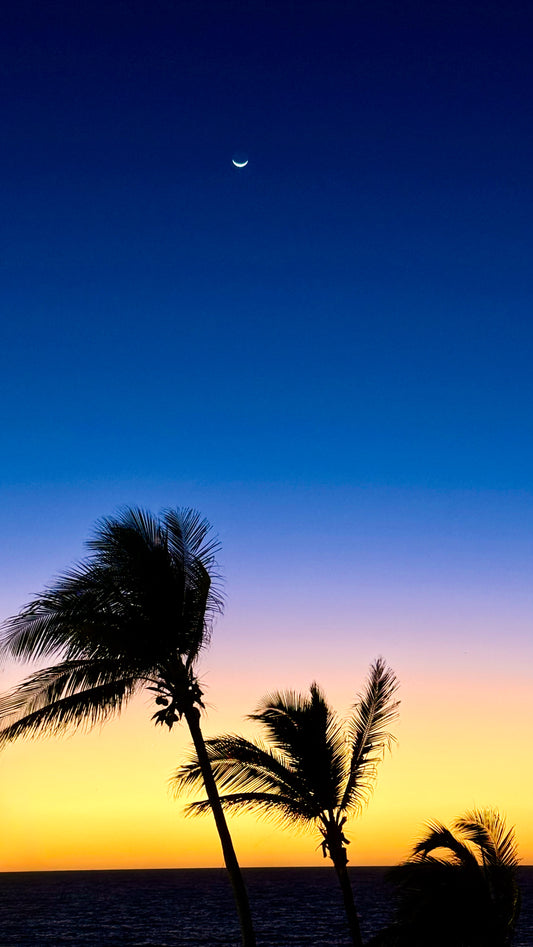 Sunset through the Palms with Crescent Moon by Leslie Brashear Photography captures silhouetted palms against a vivid tropical sunset, fading from yellow to deep blue under a glowing crescent moon.
