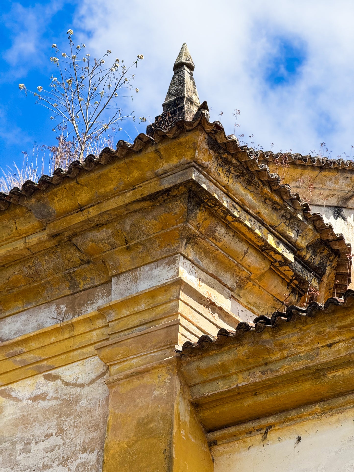 Weathered Church Corner with Rooftop Tree" by Leslie Brashear Photography captures an old yellow stone building corner with aged stonework and roof tiles, a rooftop tree, and a blue sky sprinkled with clouds, showcasing architectural elegance.