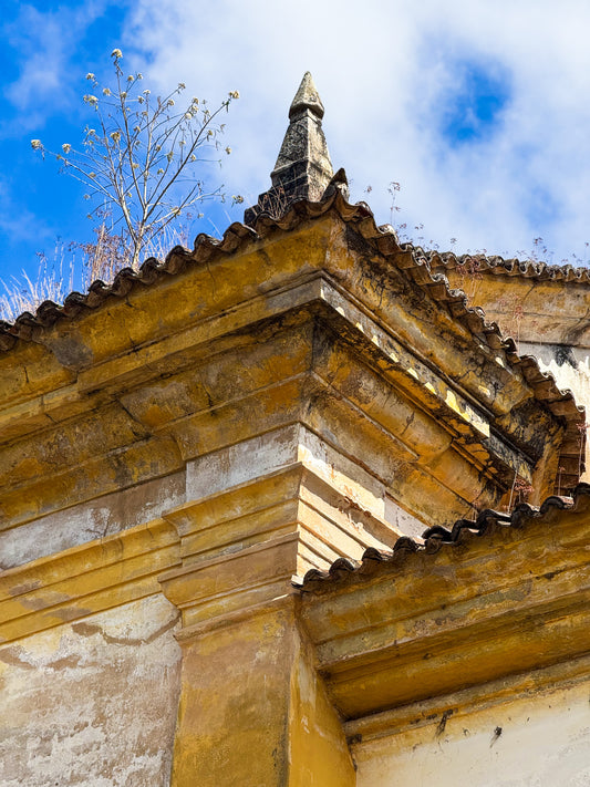 Weathered Church Corner with Rooftop Tree" by Leslie Brashear Photography captures an old yellow stone building corner with aged stonework and roof tiles, a rooftop tree, and a blue sky sprinkled with clouds, showcasing architectural elegance.