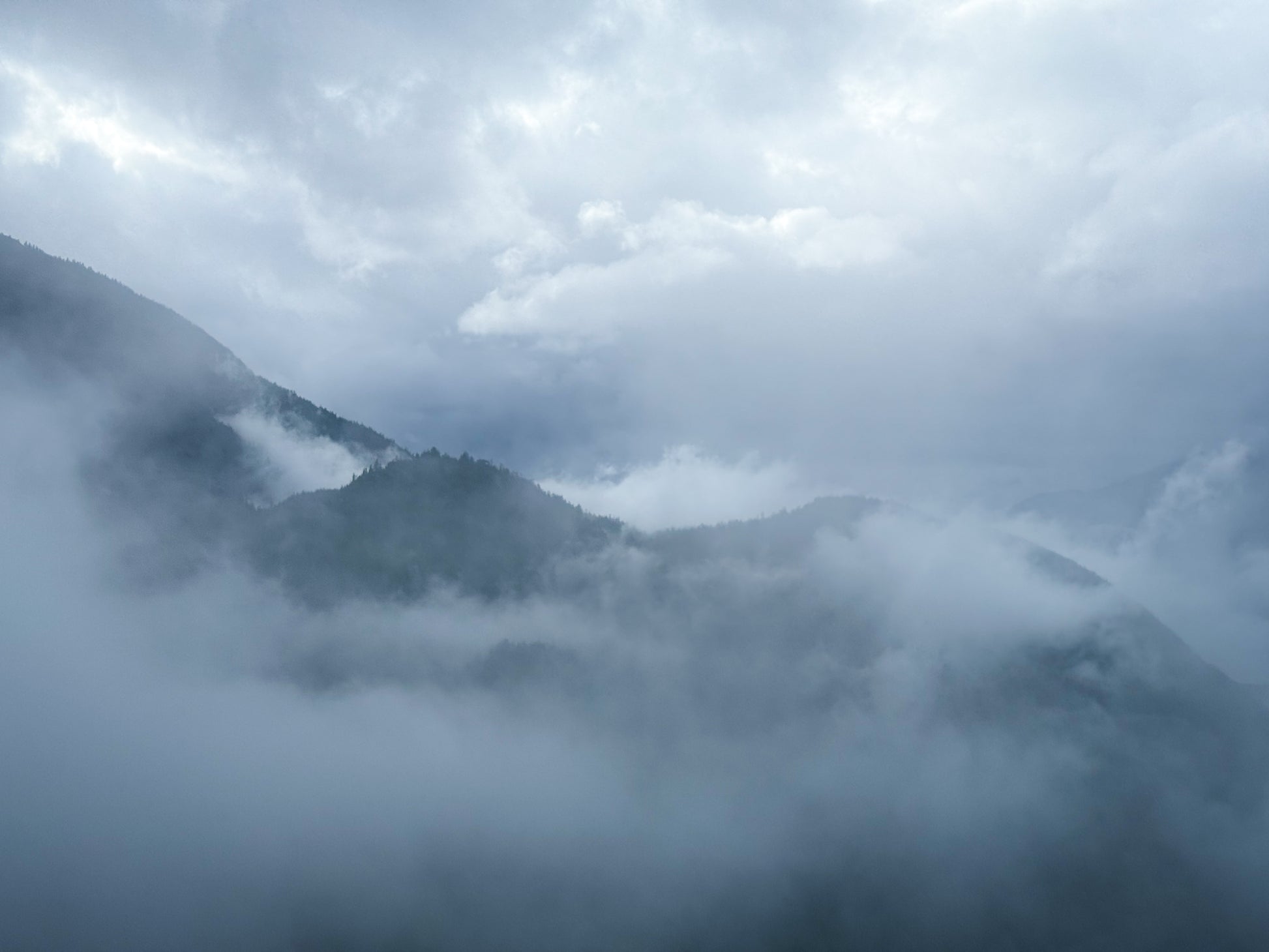 Experience the dramatic beauty of British Columbia with "Misty Mountain View" – a fine art print by Leslie Brashear Photography featuring fog-shrouded, tree-covered peaks beneath an overcast sky.